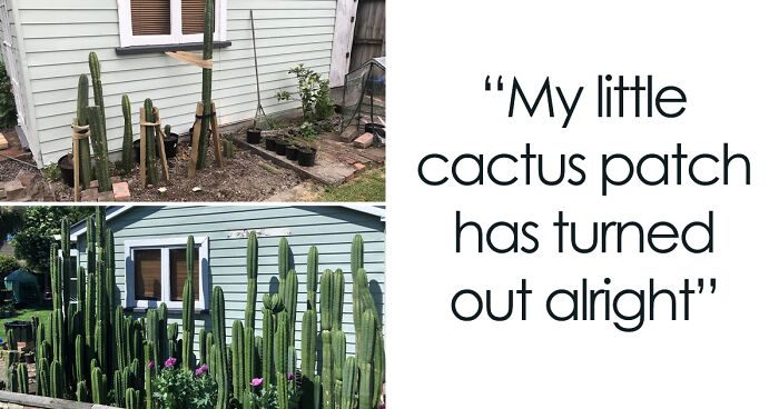 50 Of The Best Pics From The ‘Gardening’ Online Group (New Pics)