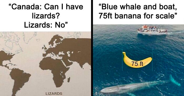 This Group Is Posting Science Memes, And Here Are 115 Of The Best Ones