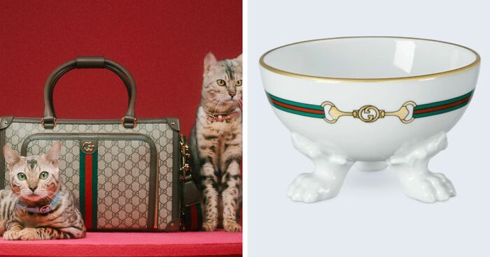 Gucci Released A Fancy Clothing And Accessories Line, And It's Lavish