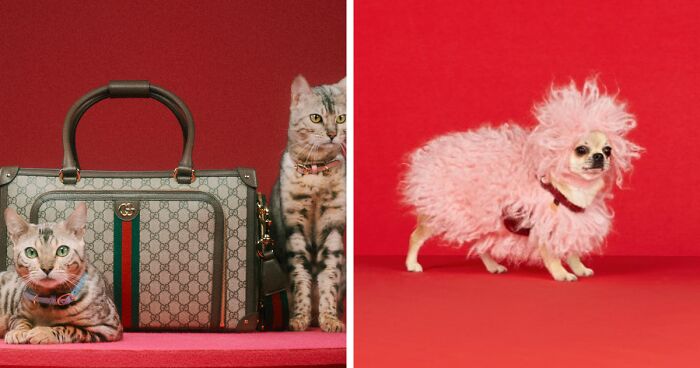 Gucci Released A Fancy Clothing And Accessories Line, And It's Lavish