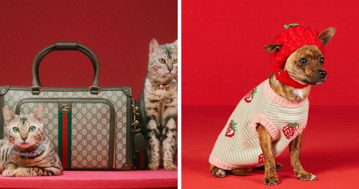 Gucci Released A Fancy Clothing And Accessories Line, And It's Lavish