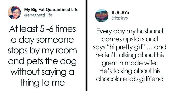 29 Times People Were Talking To Their Pets But Someone Else Thought They Were Part Of The Conversation