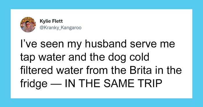 29 People Who Got Confused Thinking They Were Being Talked To When It Was Actually Directed To Pets