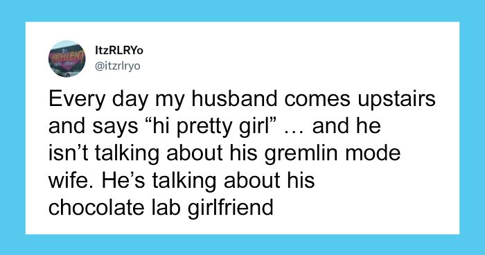 29 Silly Misunderstandings When People Responded To A Conversation That Was Between Someone And Their Pet