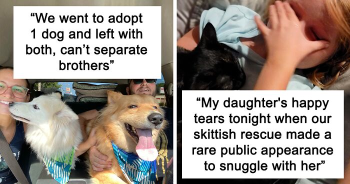 46 Heartwarming Rescue Pet Pics That Show What Joy Giving Them A Second Chance Brings To Everybody (August Edition)