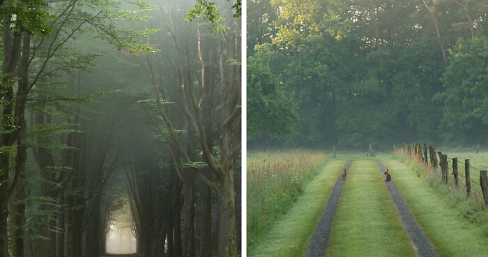 My 33 Photos Show The Charming Countryside Of My Hometown In The Netherlands