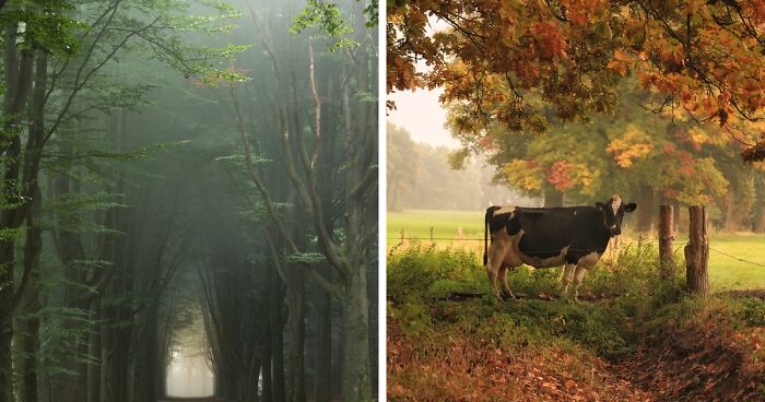 I Live In A Rural Area In The Netherlands And I Capture Its Scenic Countryside In My 33 Photos