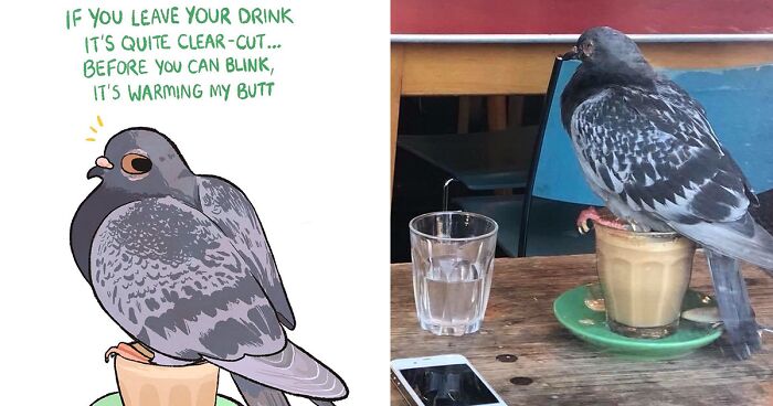 Artist Illustrates Her Struggles With Anxiety And Depression Through A Pigeon Character With These 70 Comics