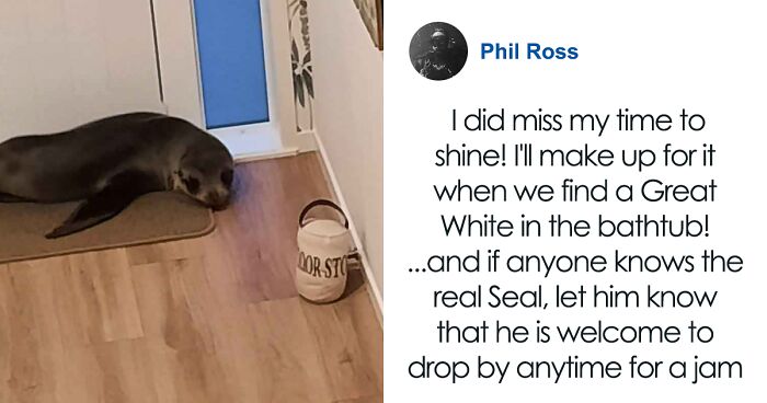 Cheeky Seal Breaks Into Family Home, Terrorizes Cat And Chills On Couch, And The Internet Is In Stitches