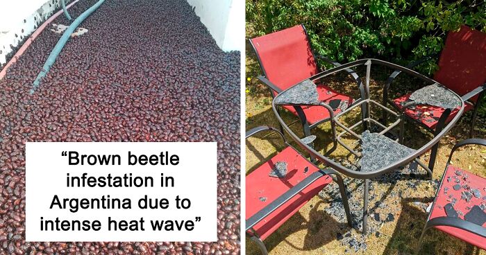 110 People Who Melted In Scorching Summer Heatwaves Share Pictures Online