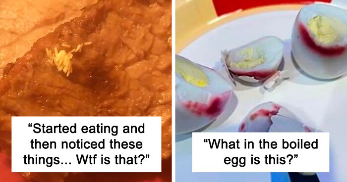 88 Of The Worst Examples Of Food Shared In The “This Is Why I Don't Do Potlucks” Group