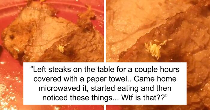 88 Pics Of Gross and Awful Food Shared By The 