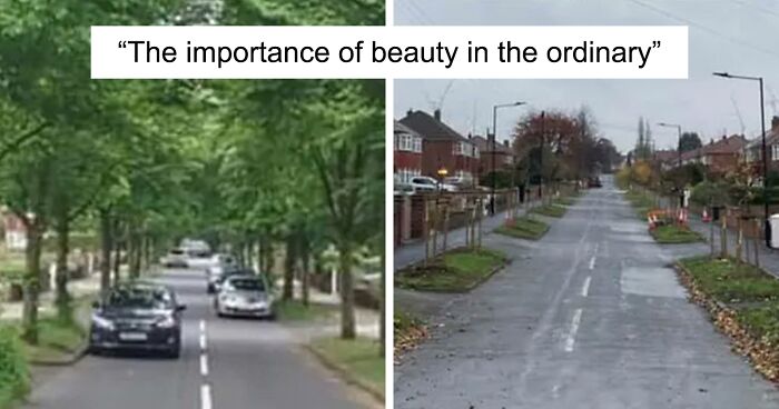 Twitter Account Explains How Beauty In Ordinary Things Is Good For Society, And The Viral Thread Is Eye-Opening