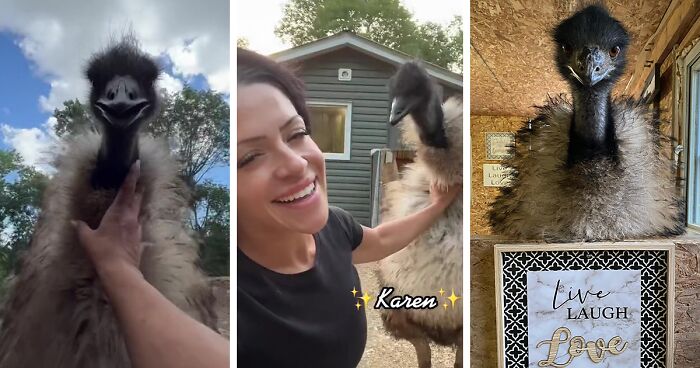 Millions Of People Can’t Get Enough Of The ‘Useless Farm’s’ Animals, Especially An Emu Named Karen, Who’s Out For Blood