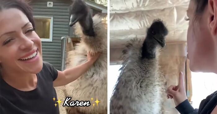 Millions Of People Can’t Get Enough Of The ‘Useless Farm’s’ Animals, Especially An Emu Named Karen, Who’s Out For Blood