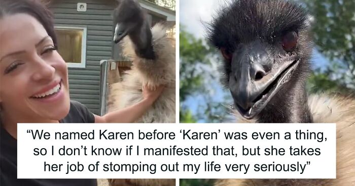 The Internet’s Most Famous Karen Is An Emu Out To Get Her Owner, With Her Antics Captured In An Ongoing Series Of Videos