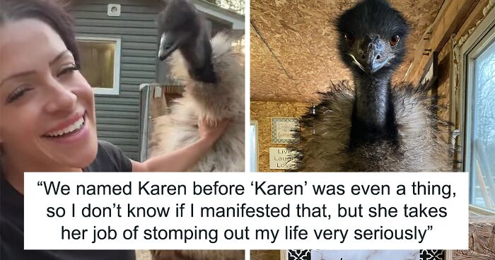 Millions Of People Can’t Get Enough Of The ‘Useless Farm’s’ Animals, Especially An Emu Named Karen, Who’s Out For Blood