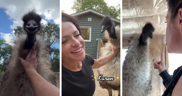 “She Takes Her Job Of Stomping Out My Life Very Seriously”: Angry Emu Named Karen Becomes TikTok Star, Amassing 5M Followers