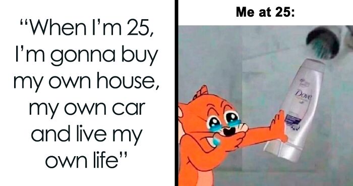 120 Spot-On Adulting Memes For Panicked Grown-Ups