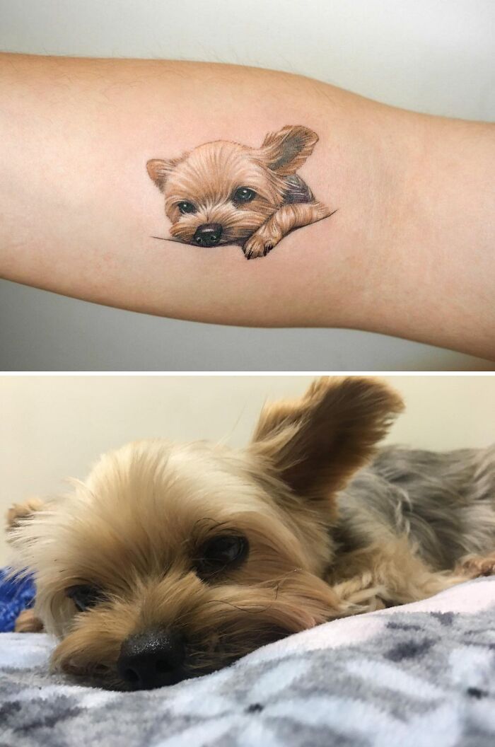 Aliens Tattoo - No matter how you're feeling, a dog's... | Facebook