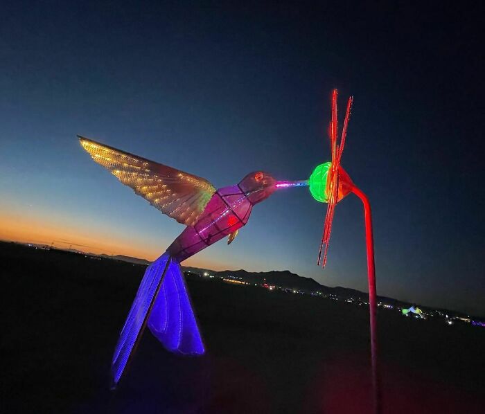 Hummingbird and flower installation lighted up by yellow, pink, red and violet color