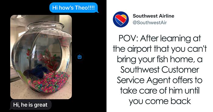 Southwest Airlines Employee Looks After Passenger’s Pet Fish For 4 Months