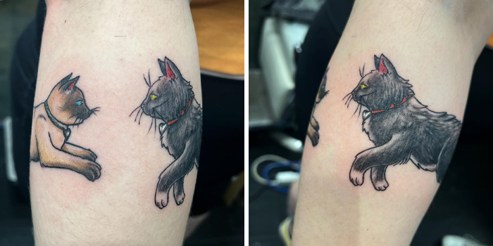Two kitties armband tattoo