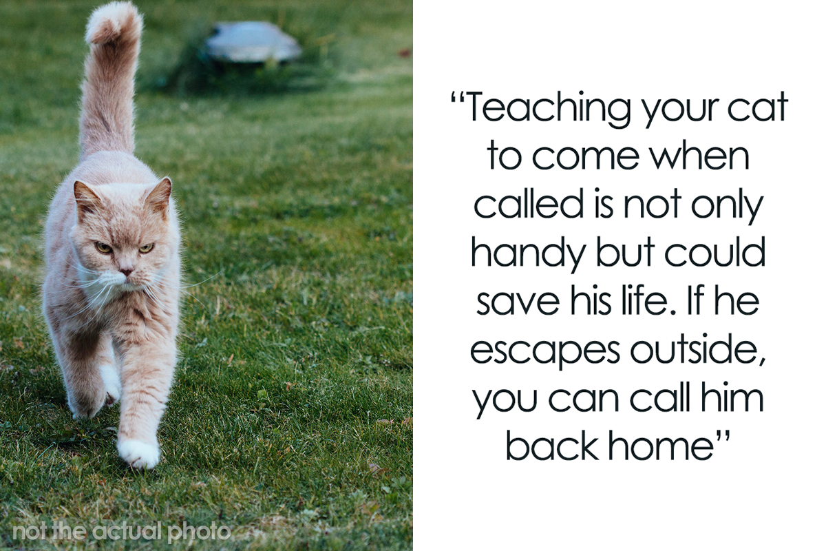 18 Life Hacks for Animal Shelters