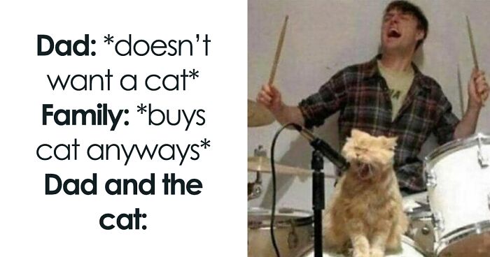 ‘Cats On Catnip’: 50 Funny And Relatable Cat Memes We Loved A Lot