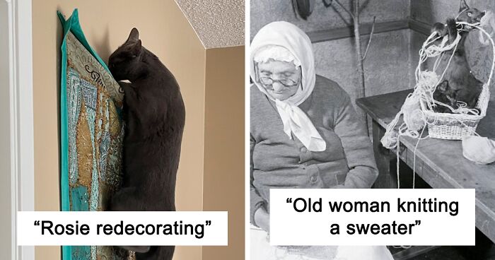 Twitter User Goes Viral Online For Revealing 11 Images Of Cats Destroying Things Throughout Centuries, Encouraging Others To Add Their Own Examples