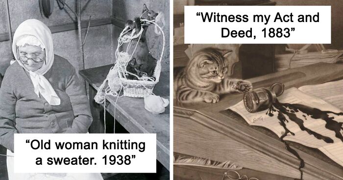 Woman Proves Cats Haven't Changed Since The Beginning Of Time As They Have Been Depicted Destroying Things For Centuries, People Add Their Own Examples 