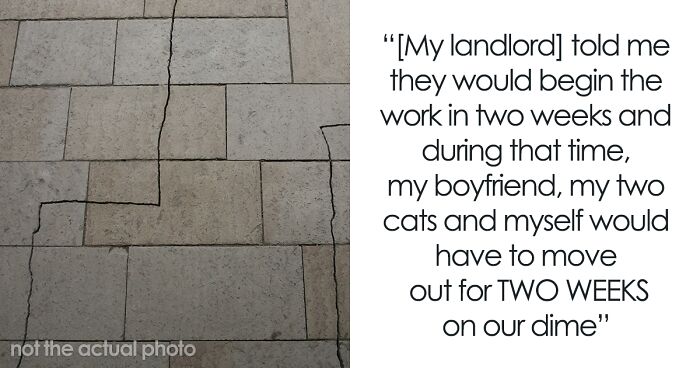 People Are Sharing The Interactions They’ve Had With Their Landlords, And It’s One Hell Of A Read (24 Stories)