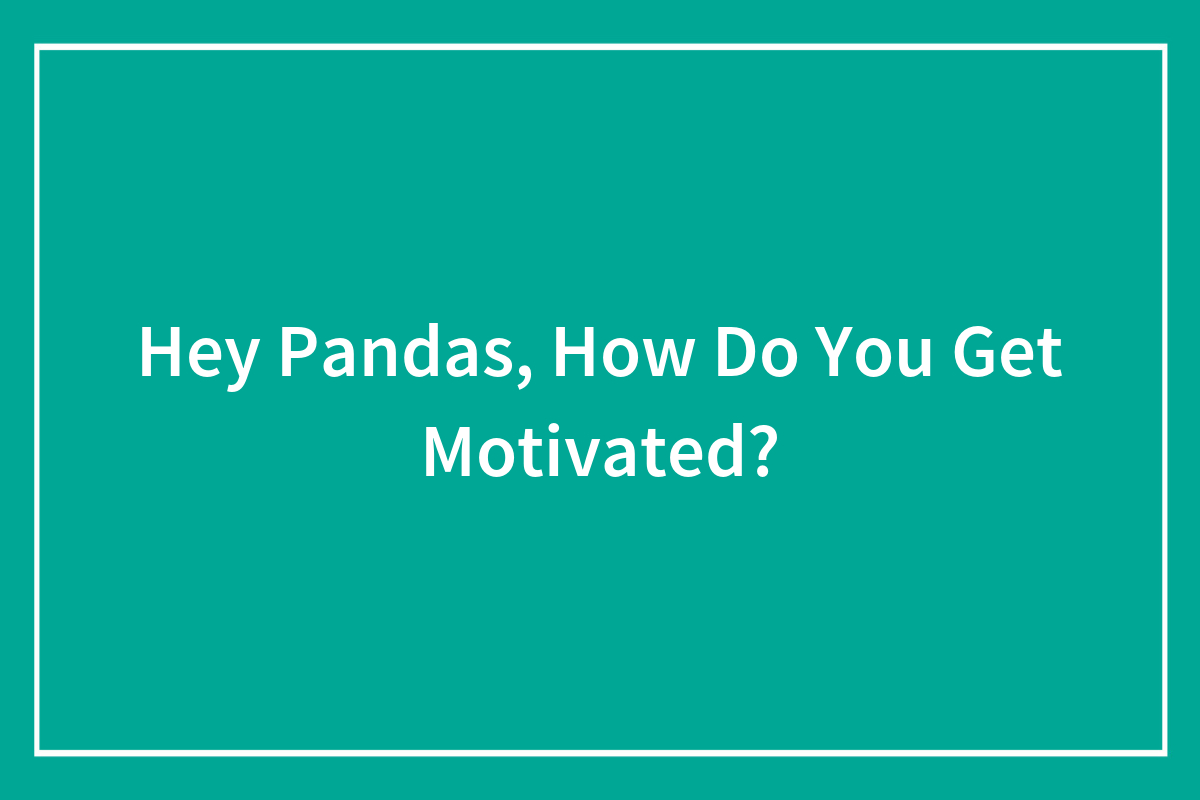 Hey Pandas How Do You Get Motivated Bored Panda