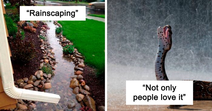 People In This Group Share Photos That Explain Why They Love Rain So Much (128 Pics)