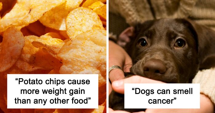 40 Fun Facts That Might Make You Raise An Eyebrow, But They Are In Fact 100% True