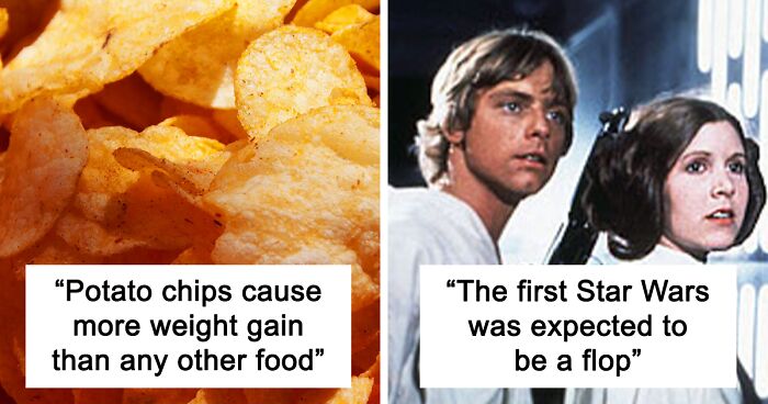 40 Fun Facts That Might Make You Raise An Eyebrow, But They Are In Fact 100% True