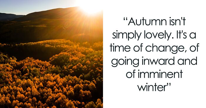 I Am A Photographer Who Tries To Capture The Feelings Of Autumn Each Year (15 Pics)