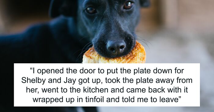 Guy Prepares Dinner For His Girlfriend, Gets Mad When She Decides To Feed Her Dog The Leftovers And Asks Her To Leave