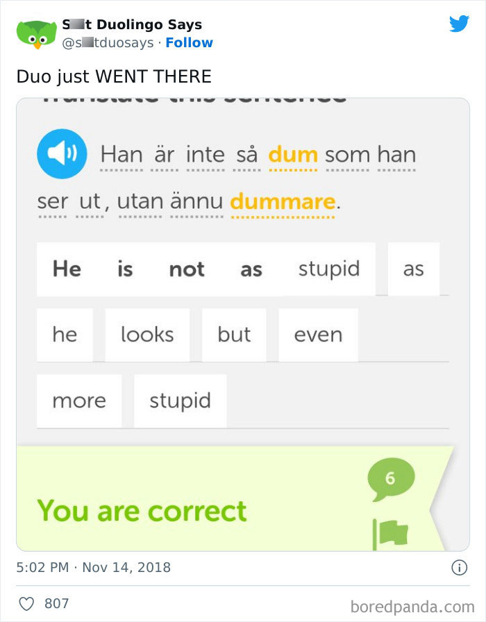 Duolingo Silly Sentences Are Great for Language Learning