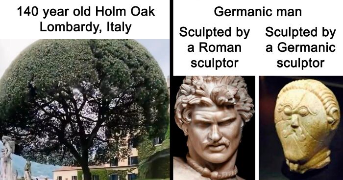 125 Funny History Memes To Start The School Year With (New Pics)