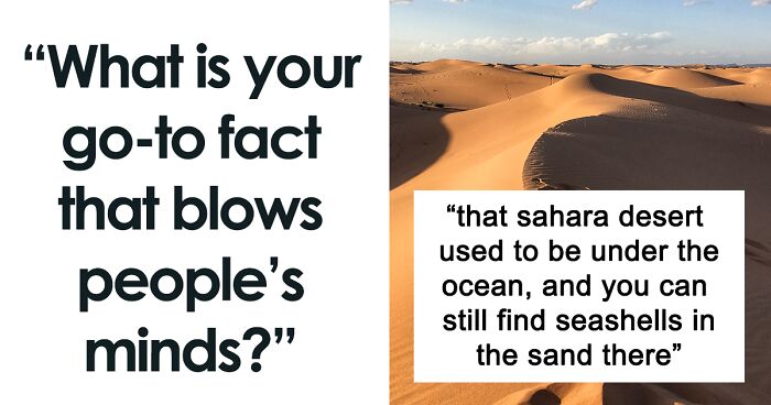 35 Random Jaw-Dropping Facts, As Shared In This Online Group