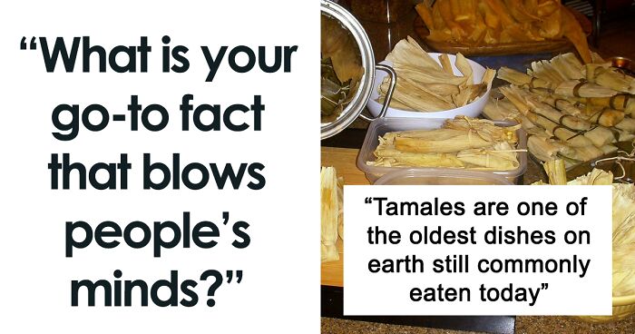 35 Random Jaw-Dropping Facts, As Shared In This Online Group