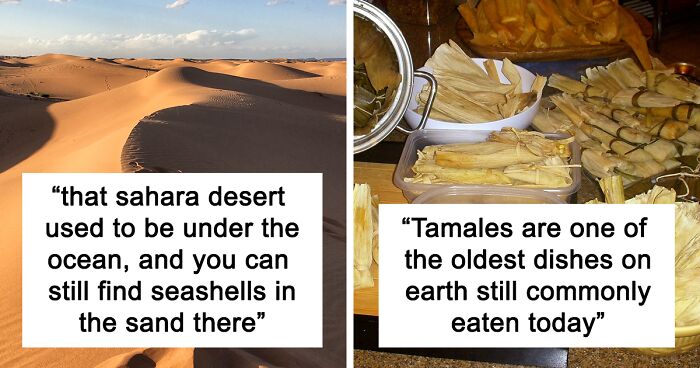 37 Interesting Facts About Literally Everything, As Shared Online