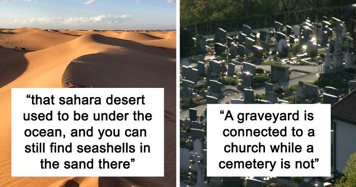 35 Random Jaw-Dropping Facts, As Shared In This Online Group