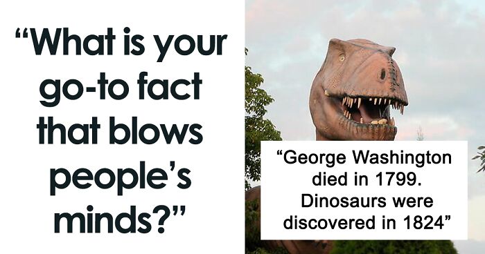 37 Cool Facts That Might Leave You Speechless, As Shared Online