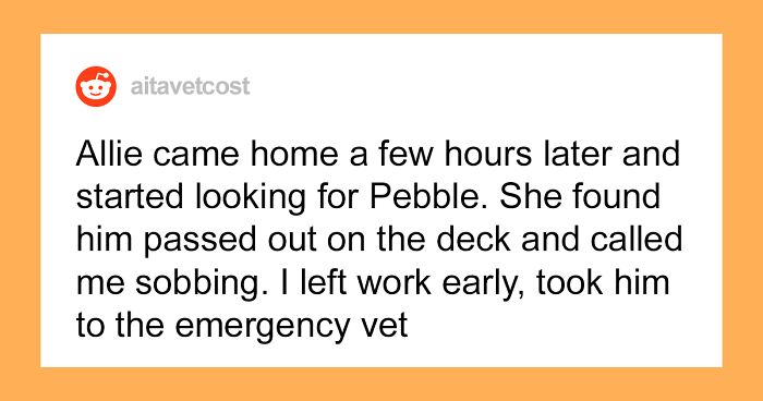 Mom Asks If She's Wrong To Make 15-Year-Old Daughter Get A Job To Pay For Dog's $2,000 Vet Bill