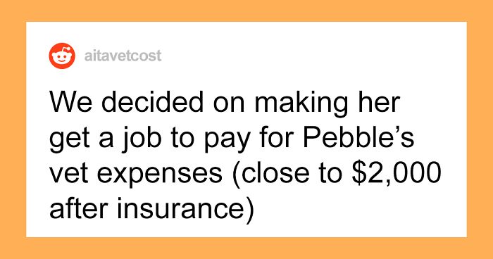 15-Year-Old Feels Crushing Responsibility For Putting Their Dog At Vet, Accuses Parents Of 