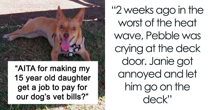 Daughter Leaves Family Dog Out In A Heatwave, Mother Starts Discussion After Saying She Wants Her To Pay For The Vet Bill