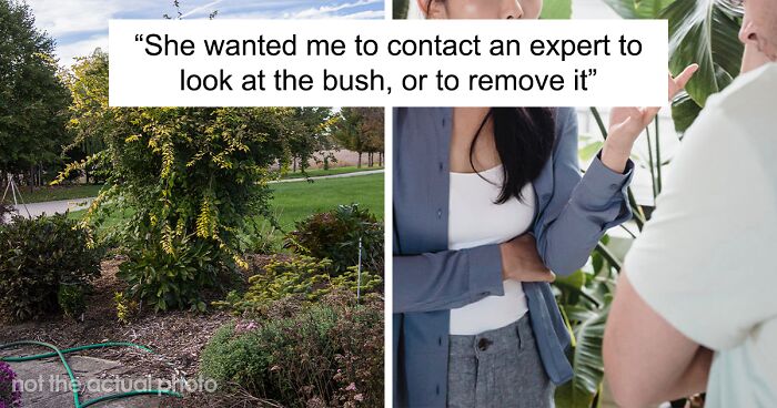 Woman Isn't Happy A Bush Is Dropping Leaves On Her Driveway, Demands Neighbors Rip It Out