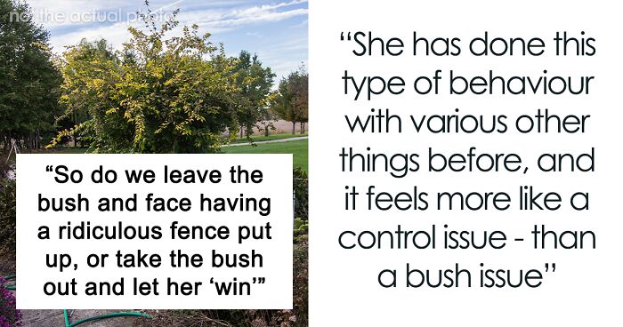 “She Is Doing It More To ‘Make A Point’”: Woman Is On The Fence After Petty Neighbor Gets Annoyed By Her Bush And Asks Her To Remove It